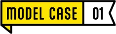 MODEL CASE 01